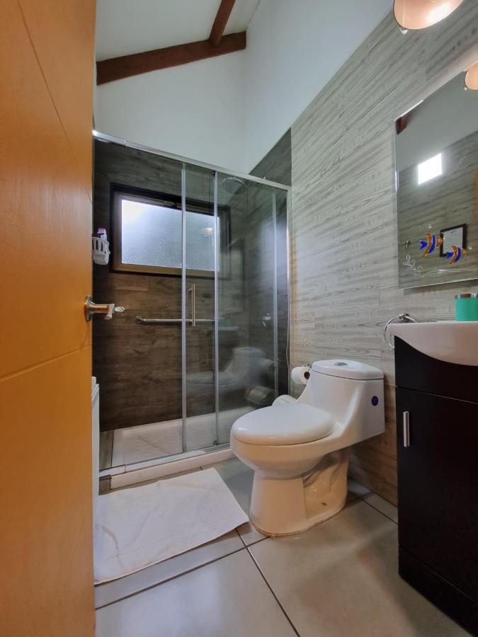 Hostel Torobayo 瓦尔迪维亚 外观 照片