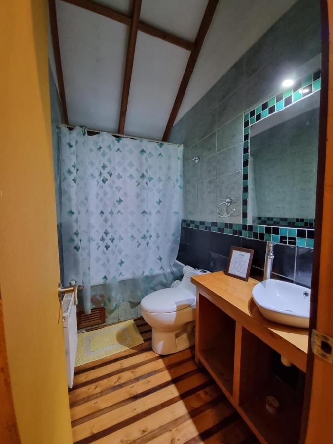 Hostel Torobayo 瓦尔迪维亚 外观 照片