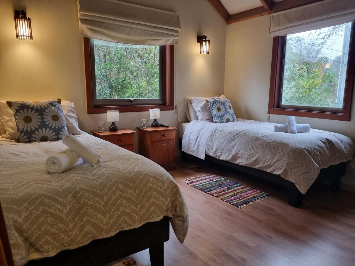 Hostel Torobayo 瓦尔迪维亚 外观 照片