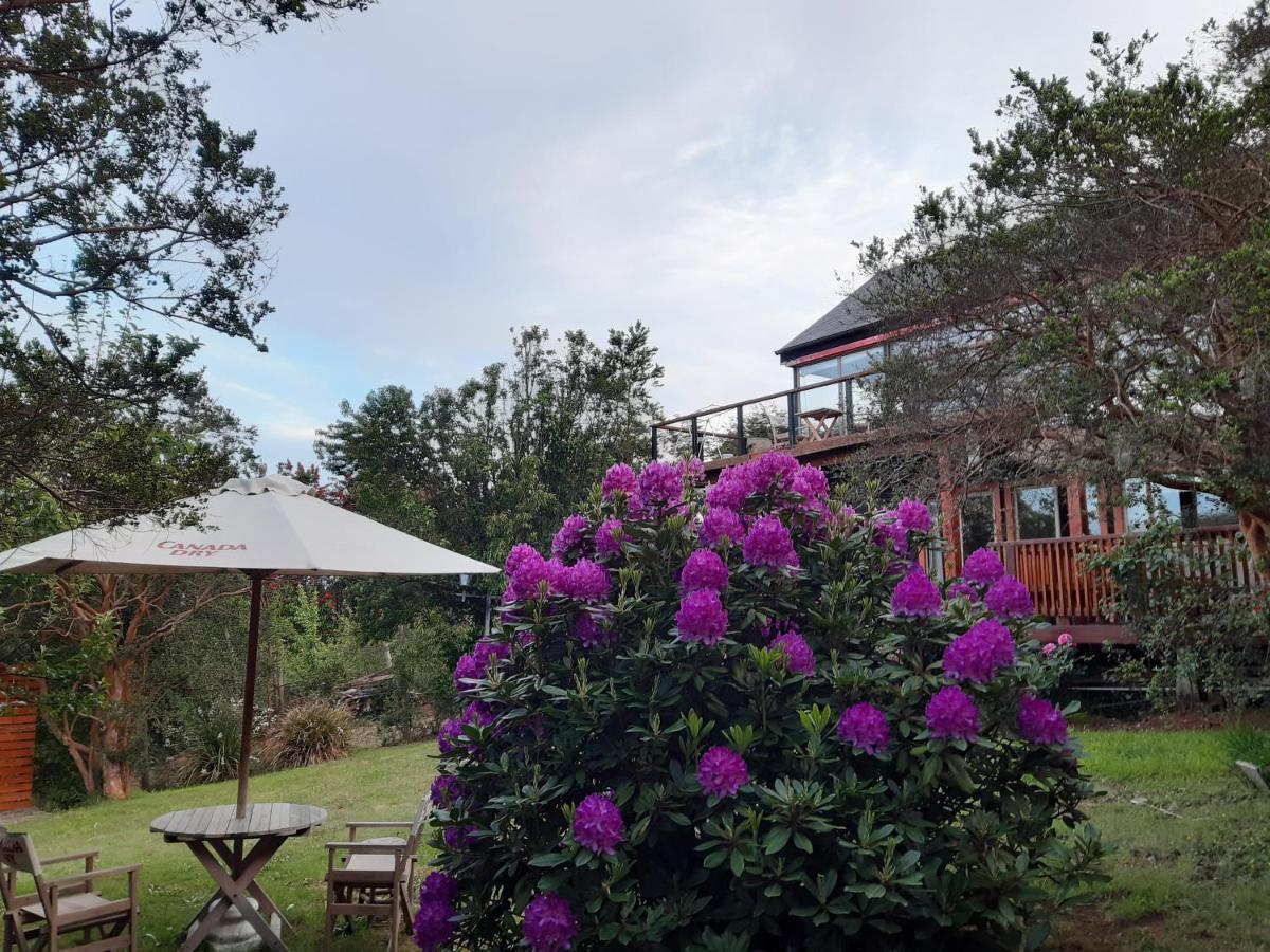 Hostel Torobayo 瓦尔迪维亚 外观 照片