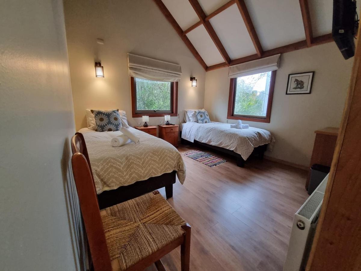 Hostel Torobayo 瓦尔迪维亚 外观 照片