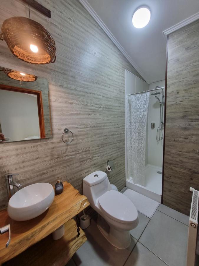 Hostel Torobayo 瓦尔迪维亚 外观 照片