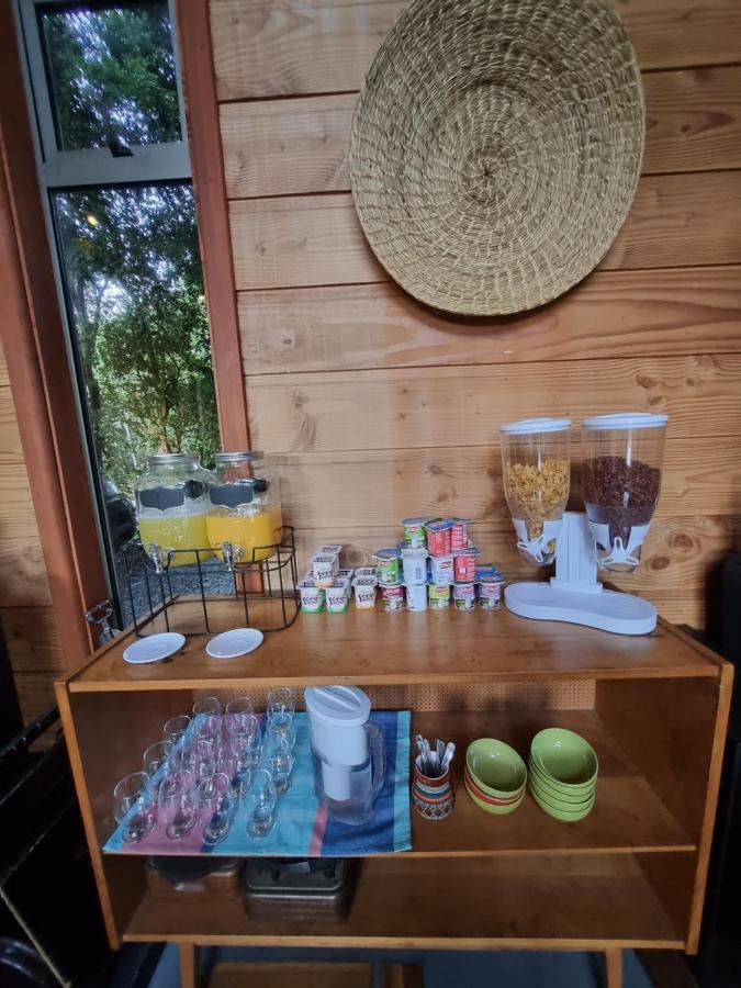 Hostel Torobayo 瓦尔迪维亚 外观 照片