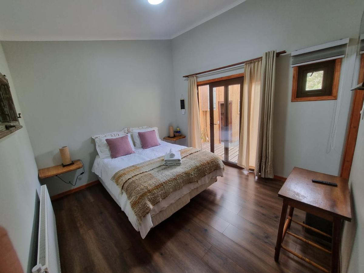 Hostel Torobayo 瓦尔迪维亚 外观 照片
