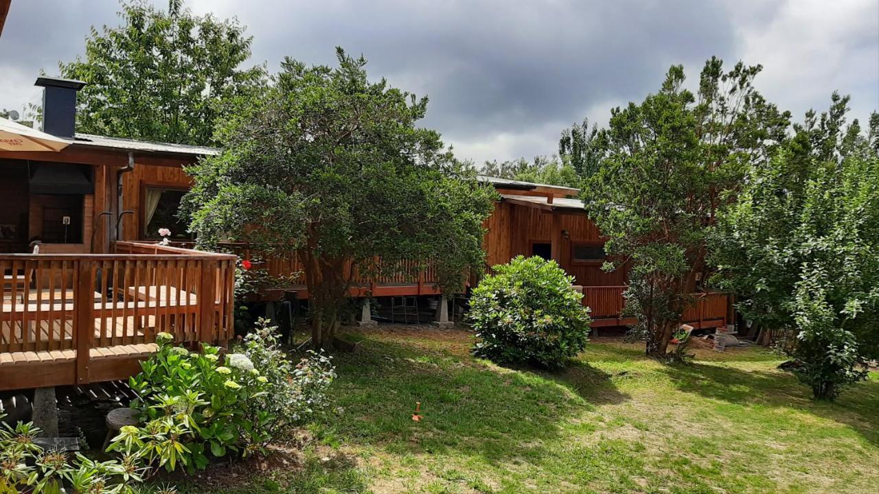 Hostel Torobayo 瓦尔迪维亚 外观 照片